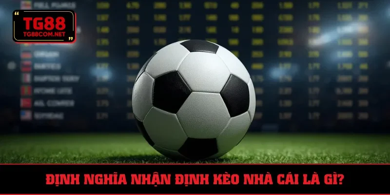 Nhận định kèo nhà cái giúp tiếp cận ý đồ của NPH kèo